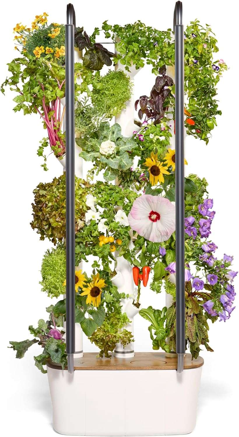 Gardyn Hydrokultur-System 4.0: Smarter Indoor Garten für gesunde Ernährung